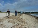 2011-09-25 15-13-28 Plage de Kermor-Ste Marine FGn